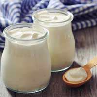Probiotischer Joghurt
