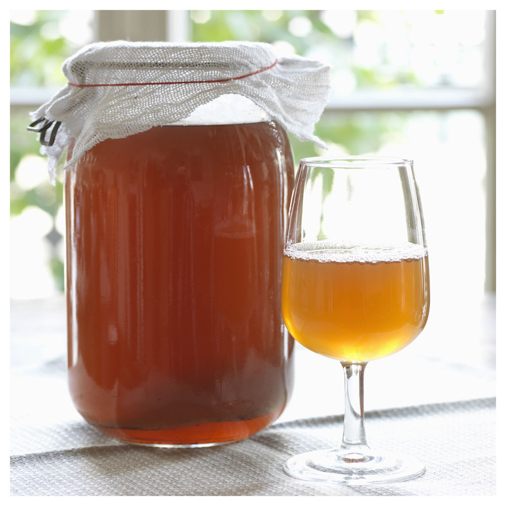Kombucha Pilz / Scoby | Kefiralia