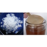 Packung 100g Wasserkefir Pilz / Japankristalle + Kombucha Pilz / Scoby