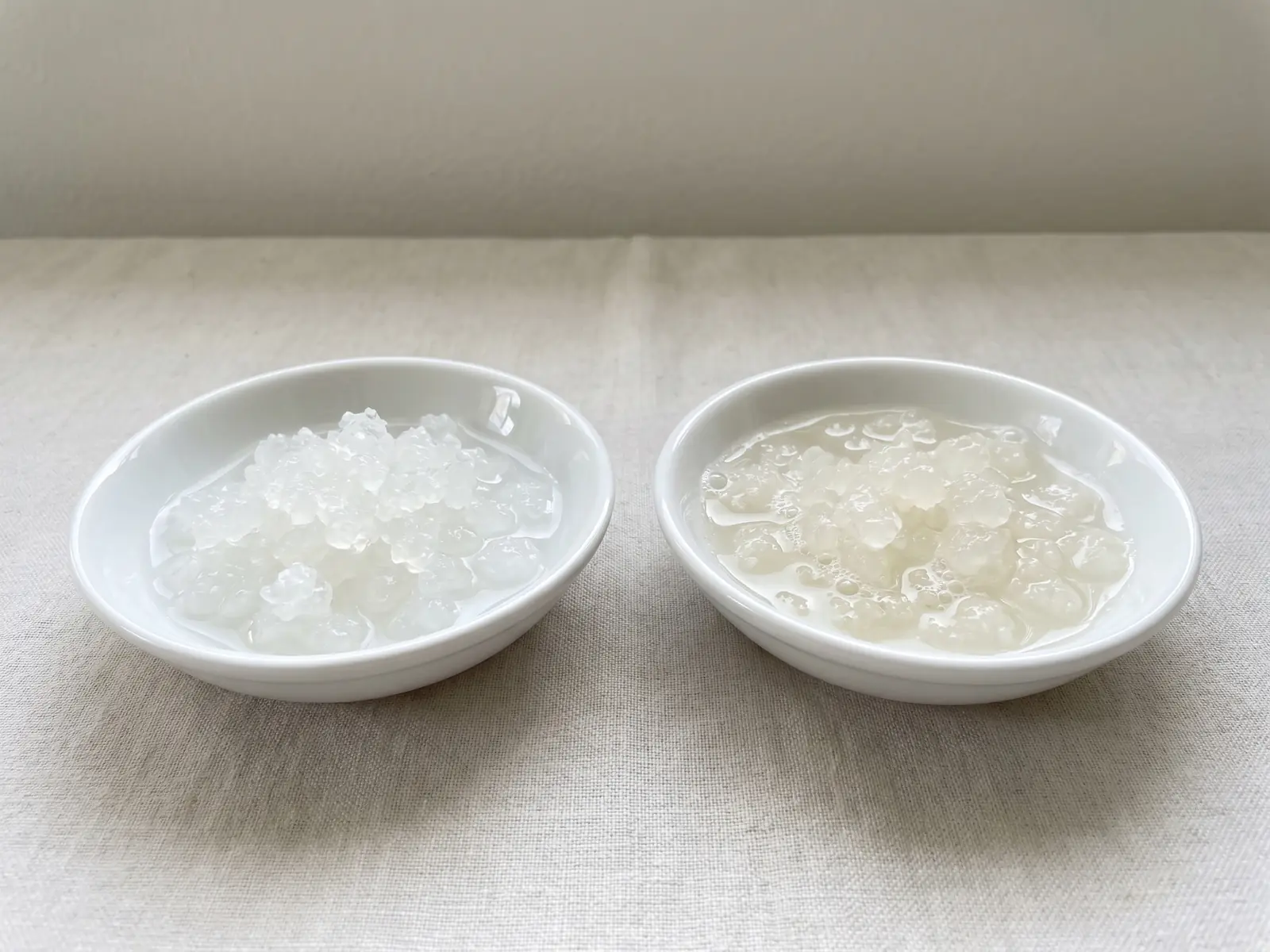 wasserkefir kristalle selbst herstellen Zwei kleine Schalen zeigen frisch hydratisierte und aktive Wasserkefir-Kristalle auf weißer Keramik.
