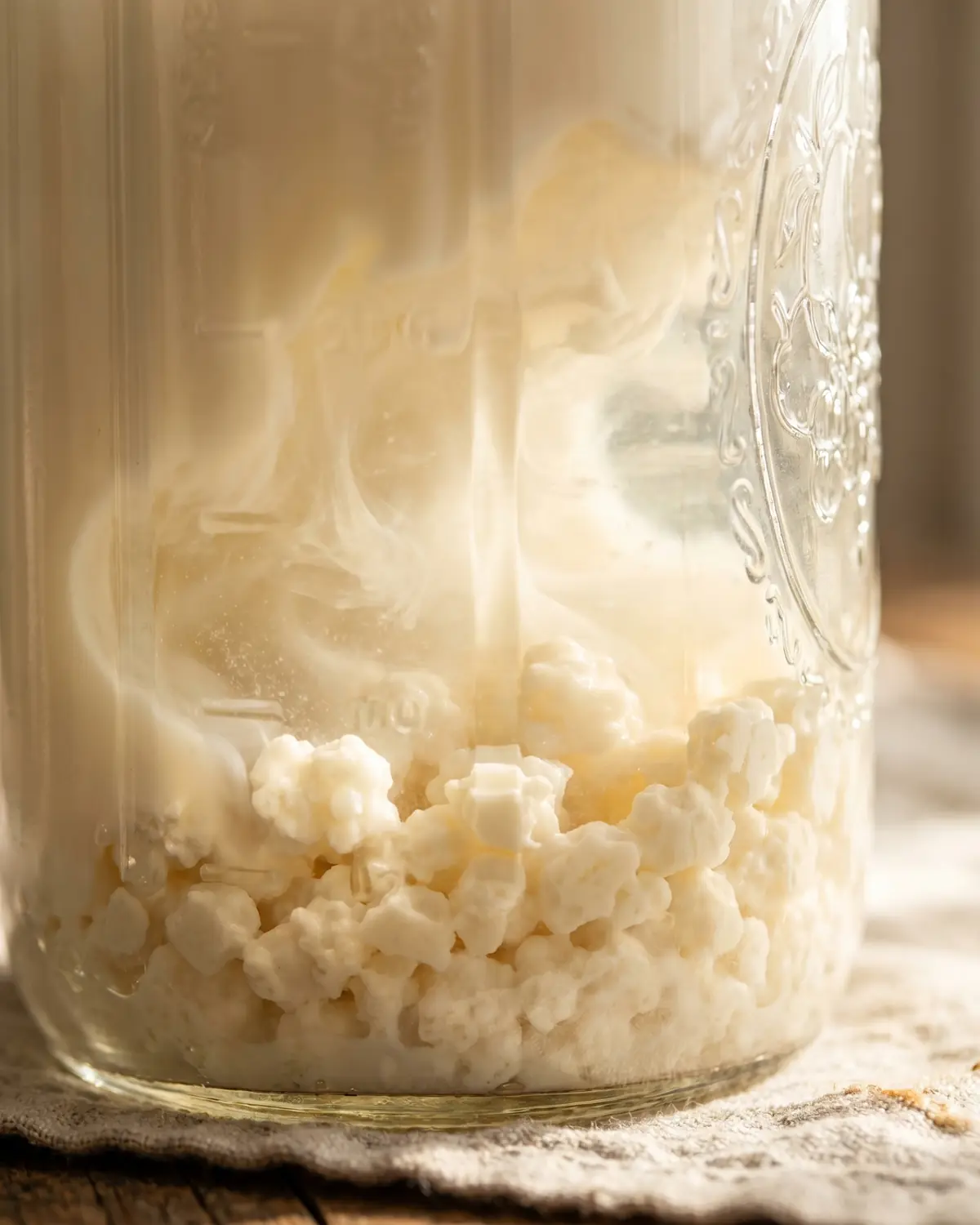 kefir buttermilch gesünder Makroaufnahme von weiß-cremefarbenen Kefirknöllchen am Glasboden, umgeben von leicht durchscheinender Milch.