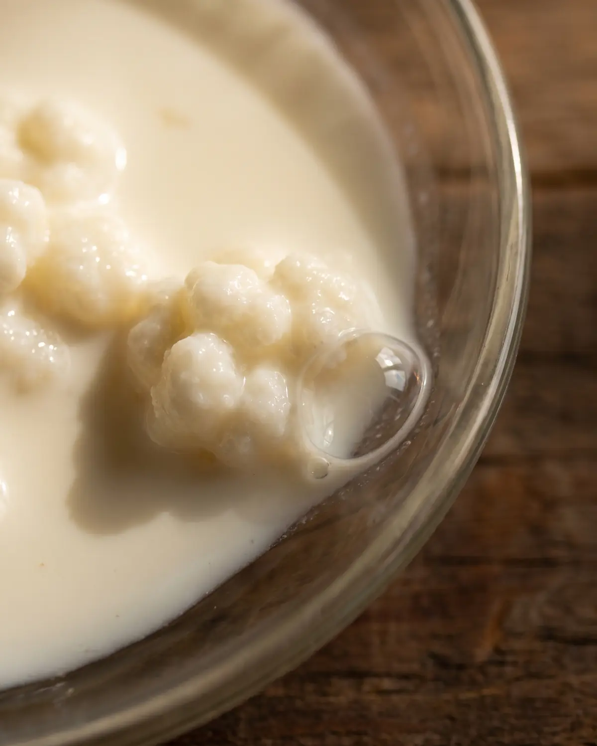 Nahaufnahme von cremigem Milchkefir am Glasrand, mit einzelner Luftblase neben einer Kefirknolle.