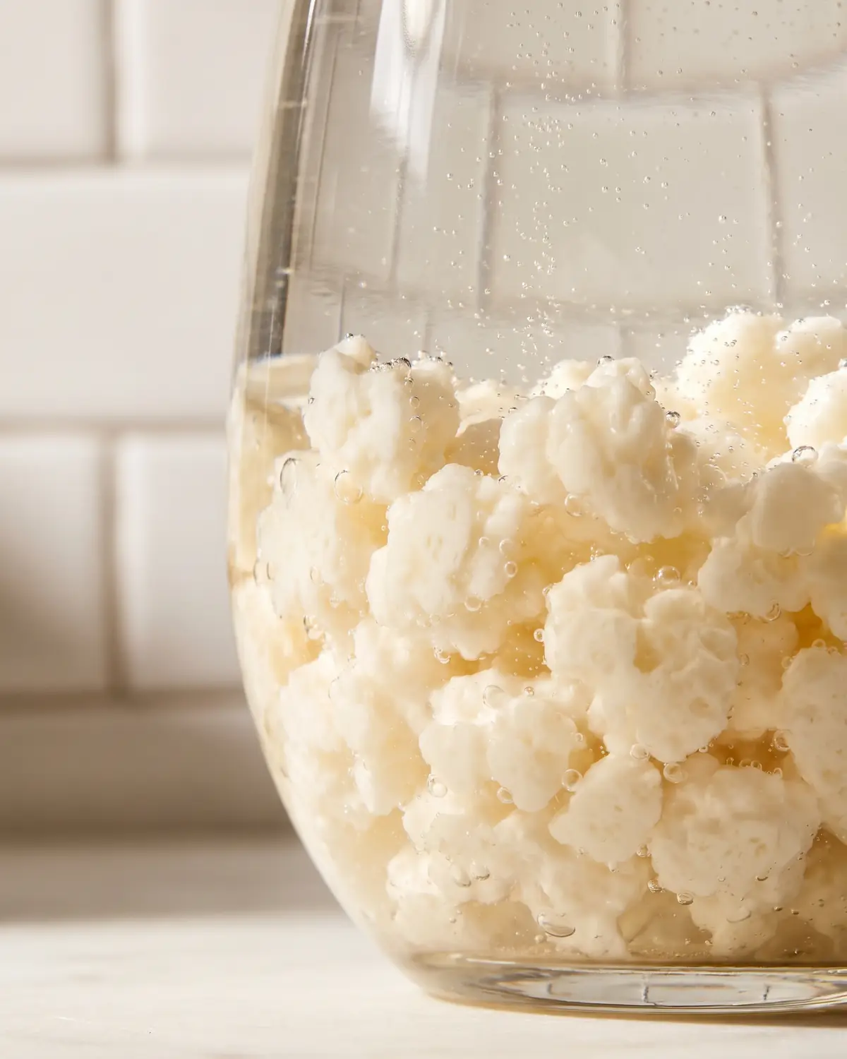 kefir brot Feine Bläschen steigen zwischen Milchkefirknollen in einem gebogenen Glas vor weißem Fliesenhintergrund auf.