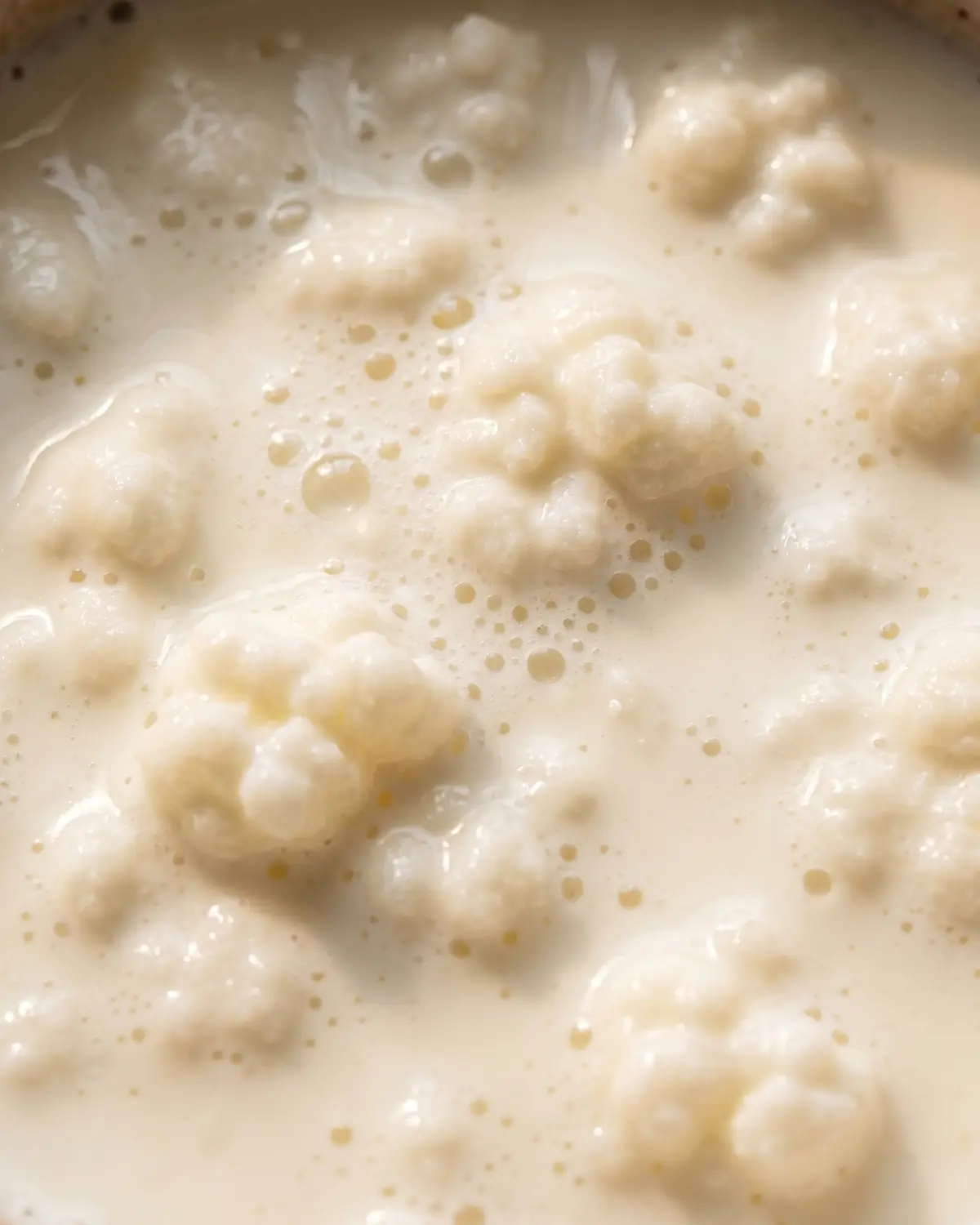 kefir bedeutung Nahaufnahme von cremigem Milchkefir mit feinen Bläschen und sanfter Oberfläche unter Licht von oben.