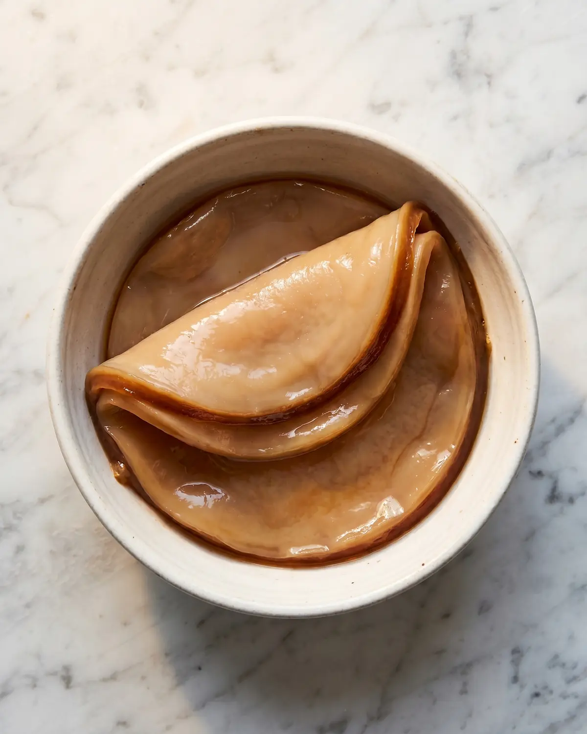 kombucha ansetzen Ein dicker, gefalteter Kombucha-SCOBY liegt in einer Keramikschale mit dunklerem Rand.
