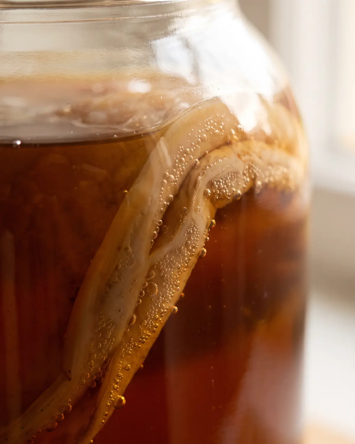 Nahaufnahme eines gefalteten SCOBY-Rands am Glas mit feinen Mikroblasen in beigen Fermentationsspuren.