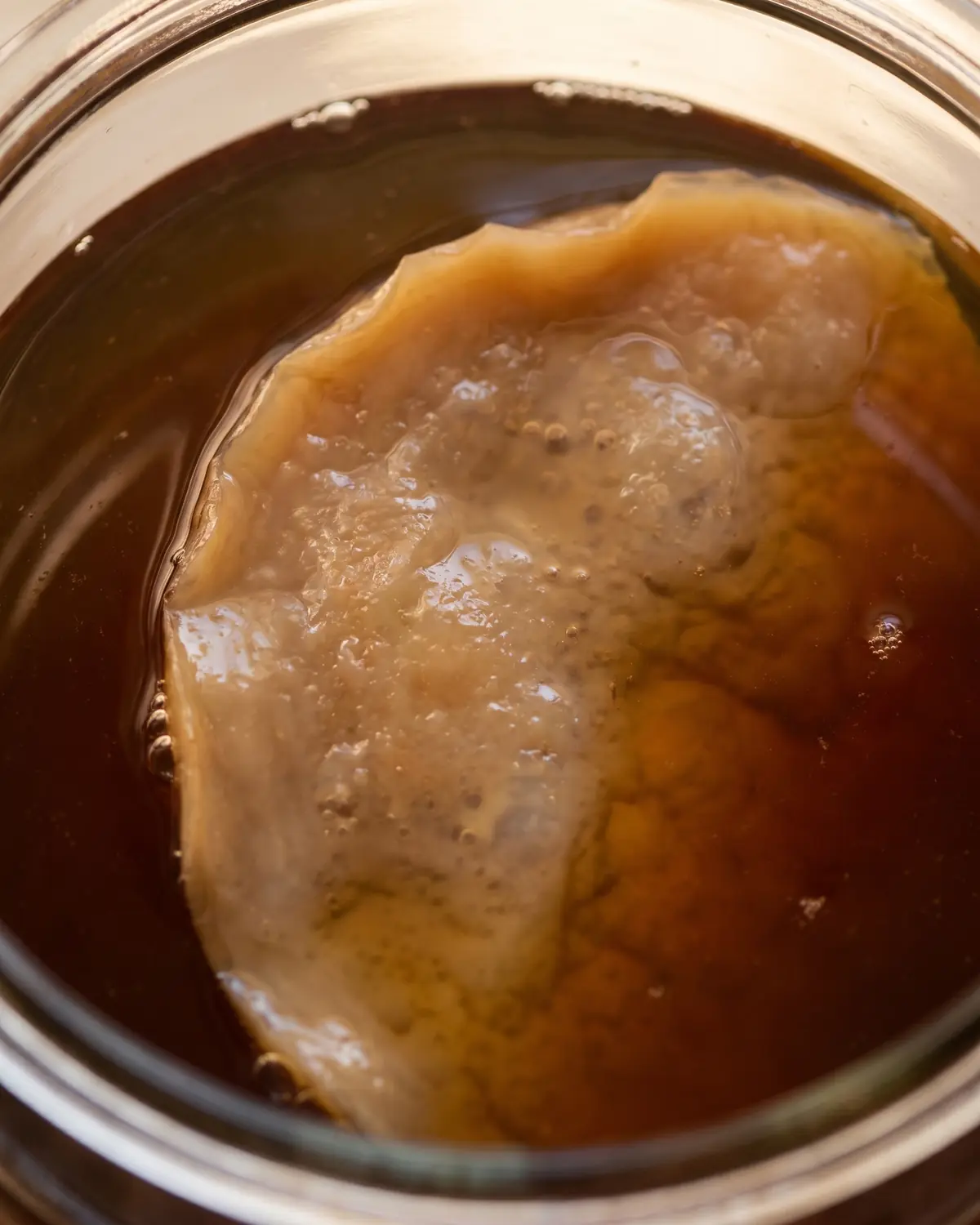woher kommt kombucha Dünner SCOBY mit unregelmäßigem Rand schwimmt von oben betrachtet auf dunklem Tee