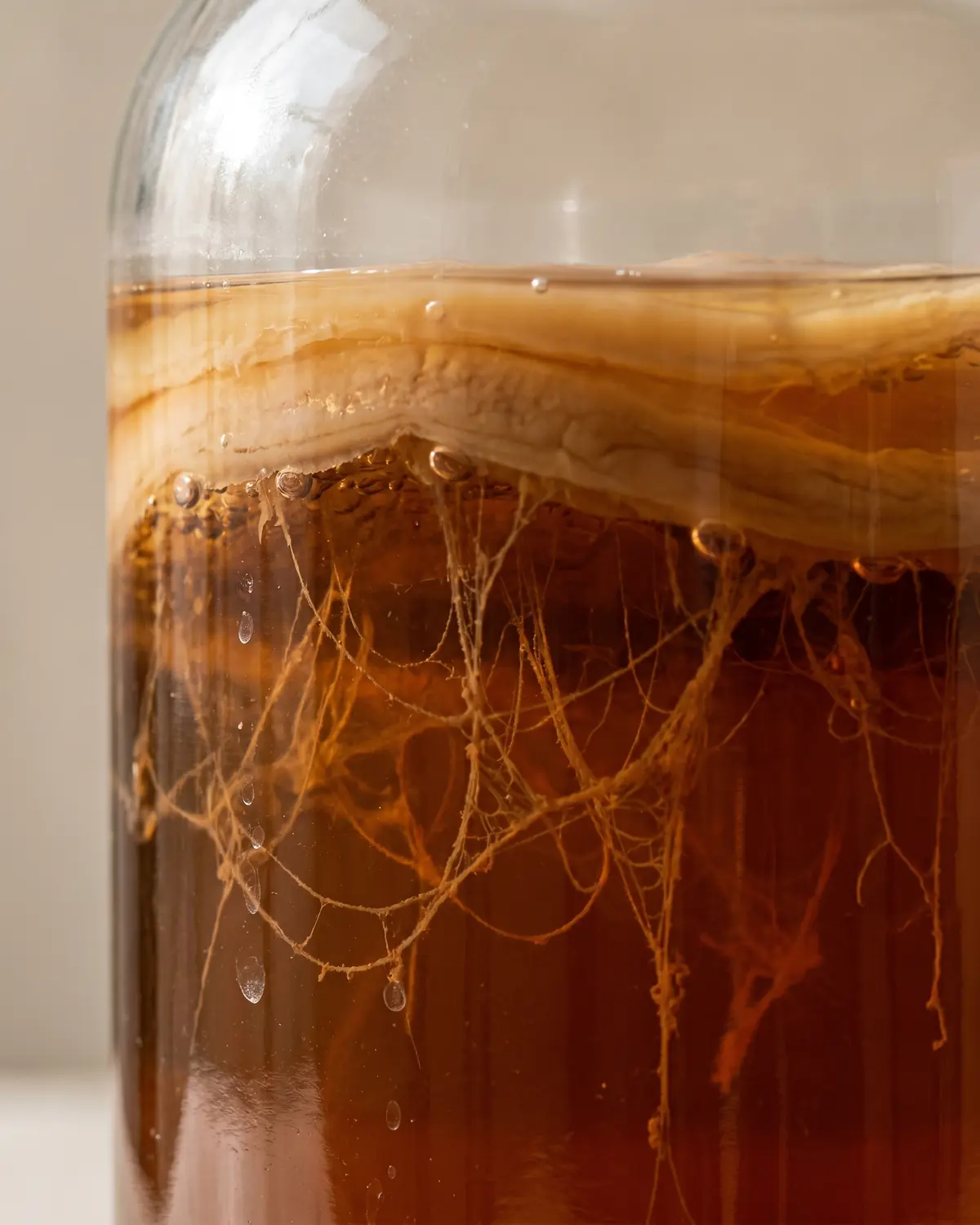 Braune Hefef&auml;den h&auml;ngen unter dem SCOBY im Glas, beleuchtet von weichem seitlichem Licht.