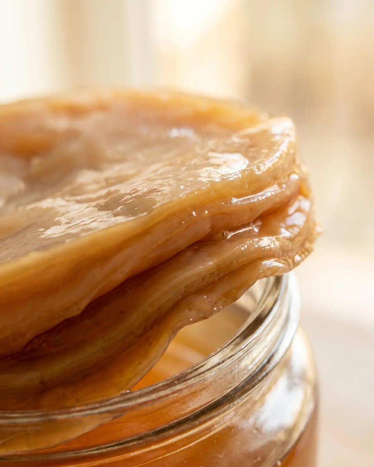 Nahaufnahme eines beige-braunen SCOBY-Rands mit gummiartigen Schichten in bernsteinfarbenem Tee.