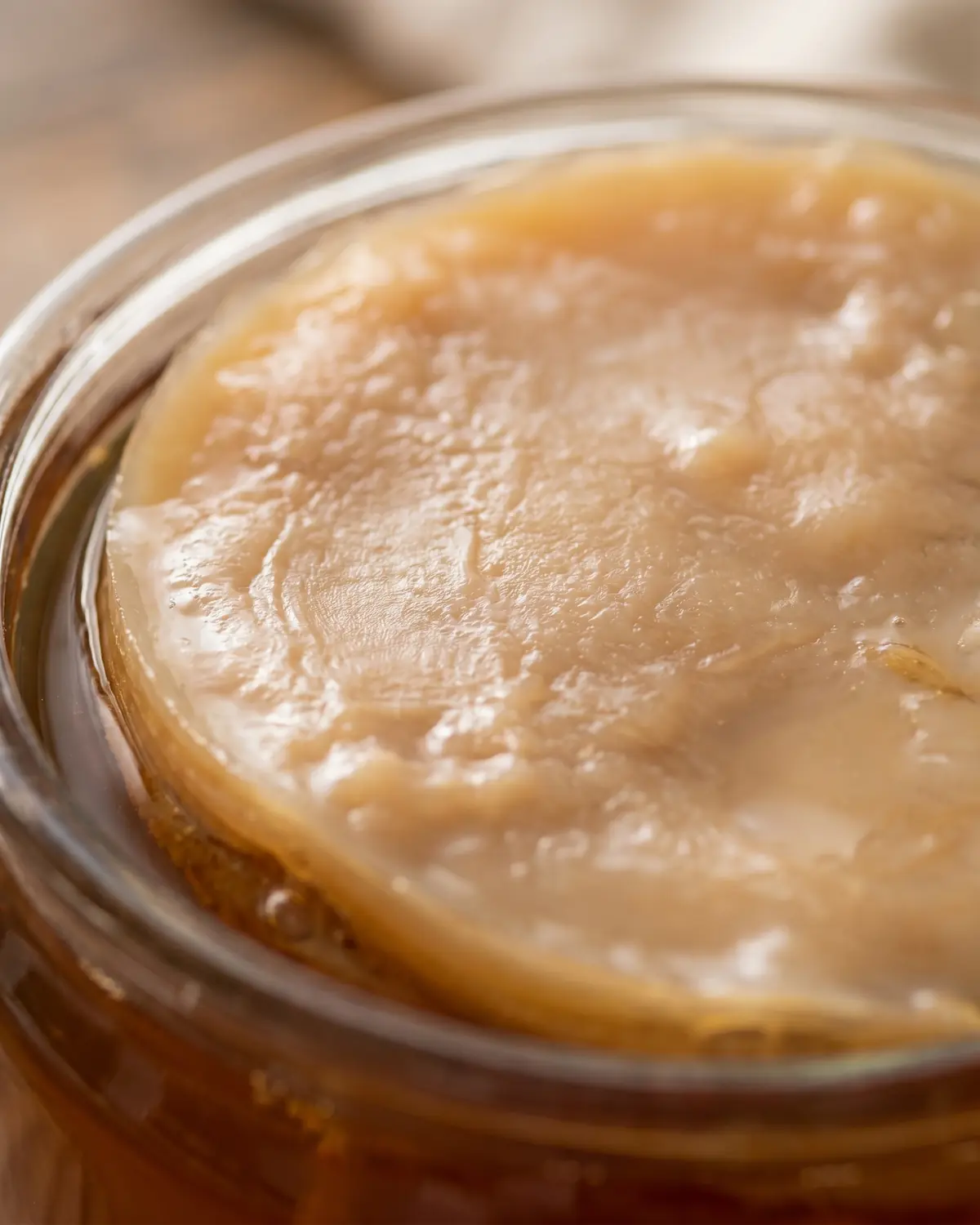 Makroaufnahme eines beige-braunen SCOBY mit gummiartiger, unregelm&auml;&szlig;iger Oberfl&auml;che und sichtbarem Relief.