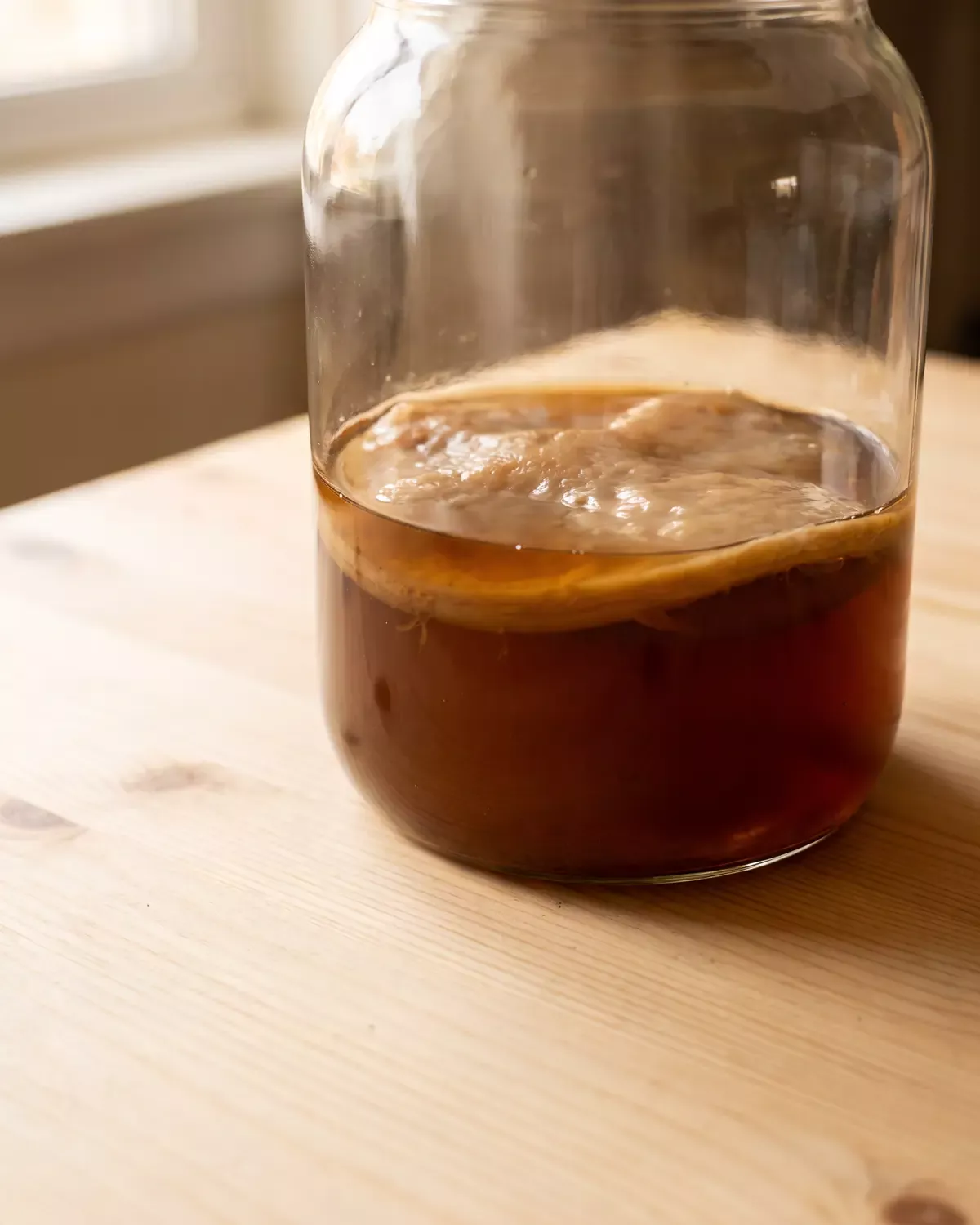 scoby schimmel Von unten fotografiertes Kombucha-Glas aus hellem Kiefernholz, der SCOBY wirkt wie eine bernsteinfarbene Scheibe.
